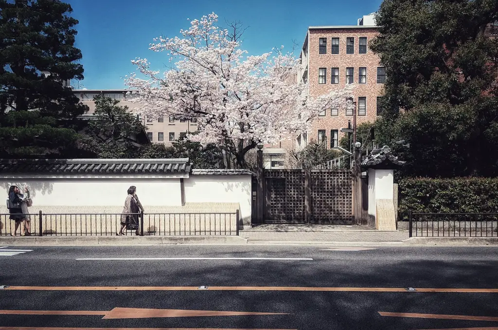 京阪神遊玩禁忌大公開：千萬別踩雷！