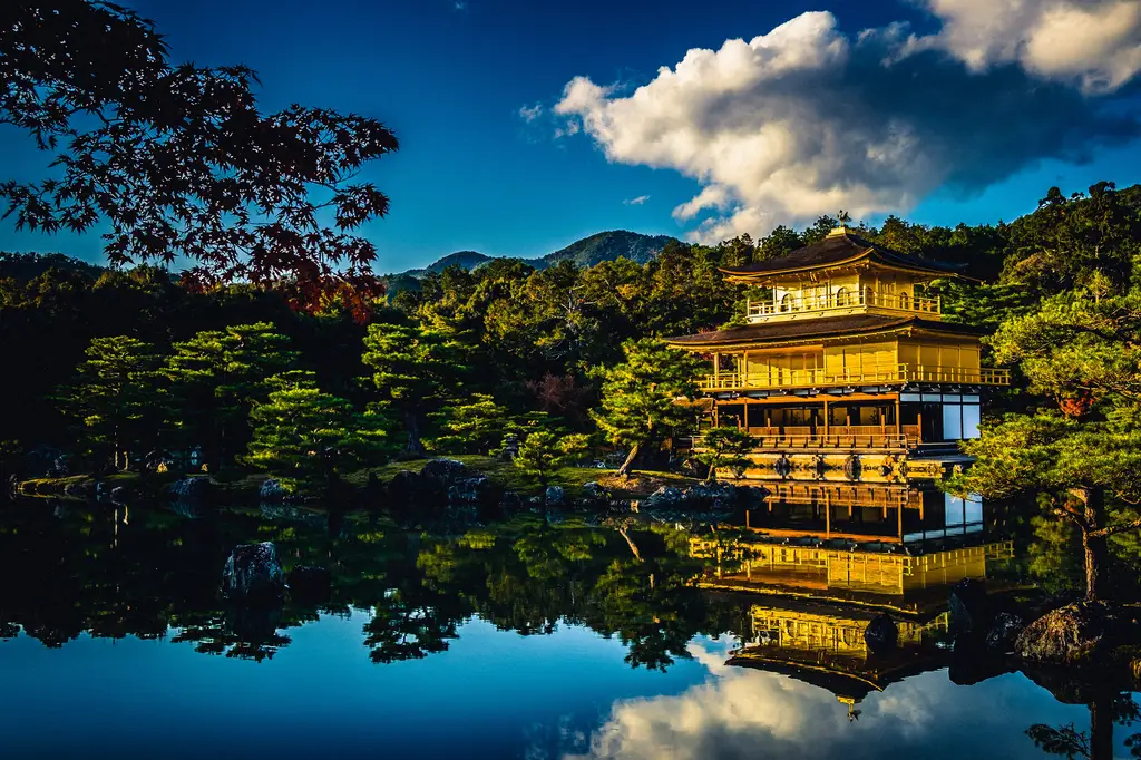 東京行腳記：暢遊日本大都會