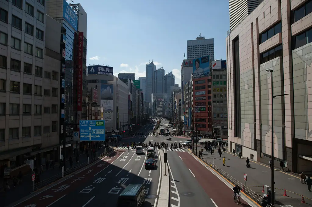 東京近郊一日遊：精選5大景點，讓你輕鬆玩轉日本魅力小鎮！