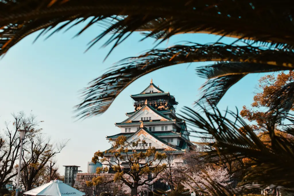 墨田水族館：東京必訪的海洋奇幻世界