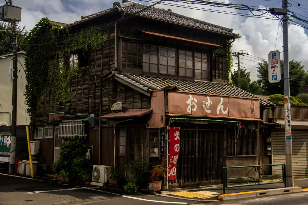 新宿歌舞伎町攻略：夜生活天堂必去景點