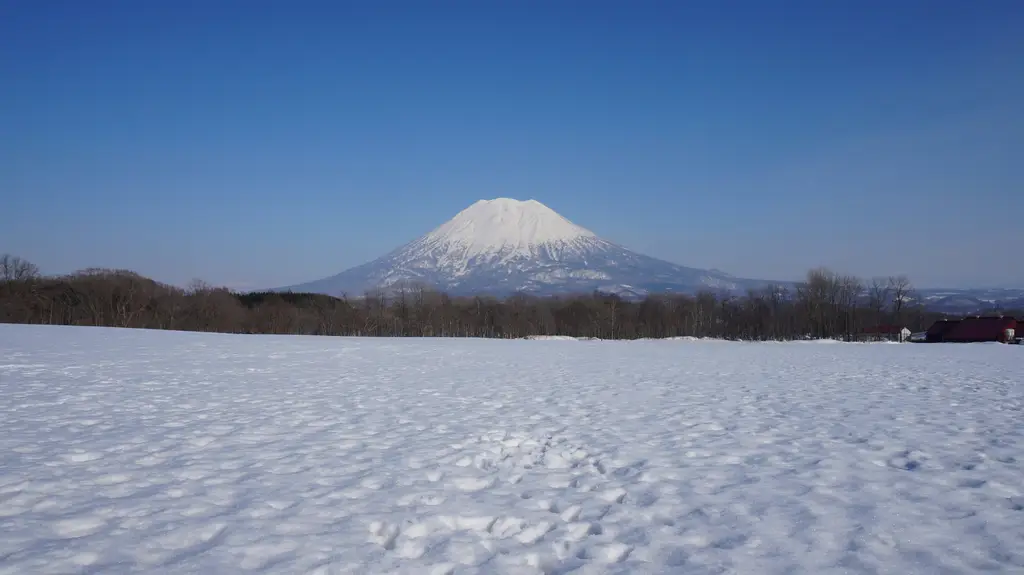 新版東京周遊卡：省錢省時的旅遊神器！