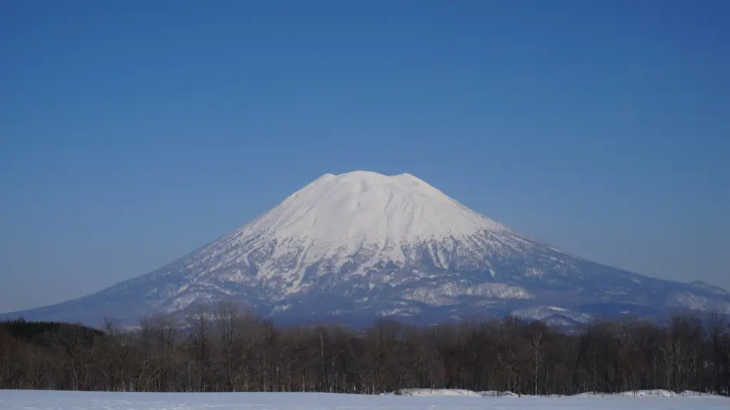 探索日本隱藏的寶石：奈良與神戶靈性與現代的共舞