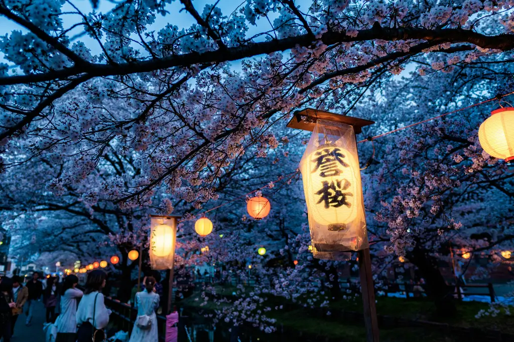 東京必訪景點大公開！