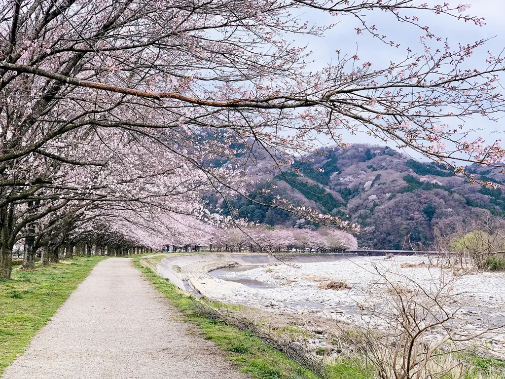 東京獨有體驗：富有特色的景點大公開！