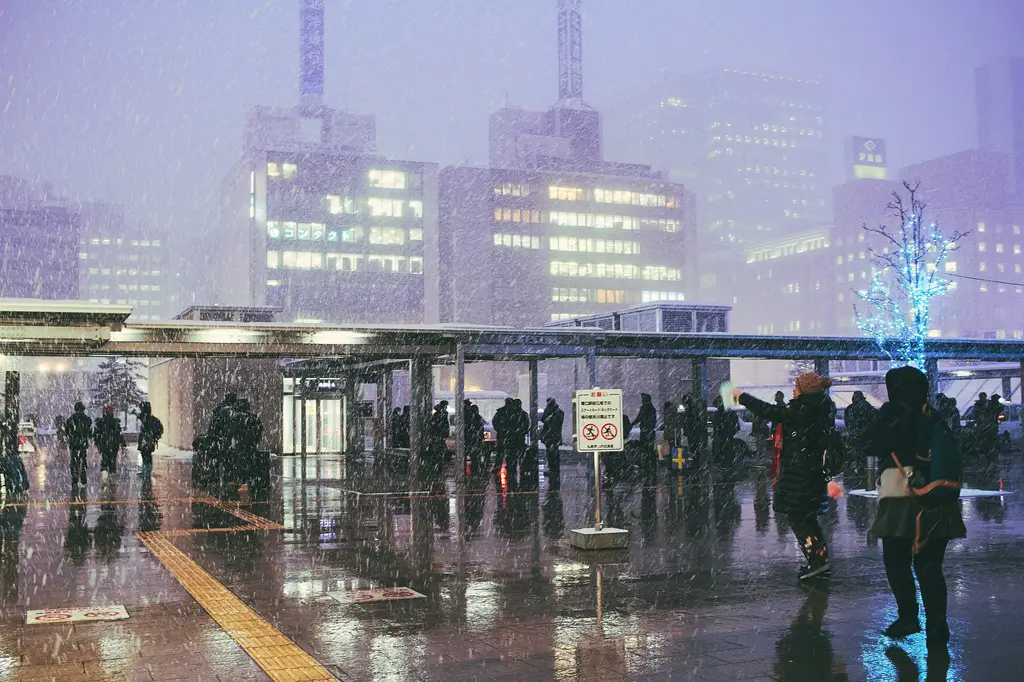 箱根攻略：一趟讓你魂牽夢縈的温泉之旅